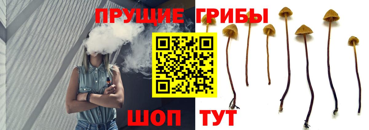 Мыски  даркнет сайт  Вход с VPN  Галлюциногенные грибы MAGIC MUSHROOMS 